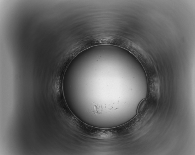 X0000095890604200801181227