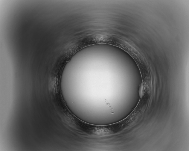 X0000095890605200801181227