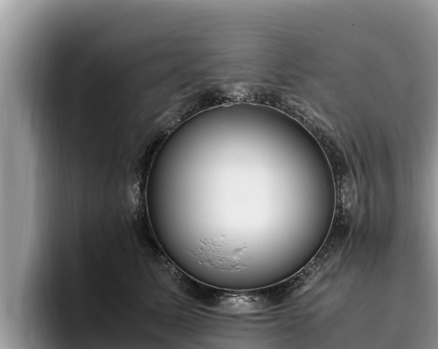 X0000095890611200801181227
