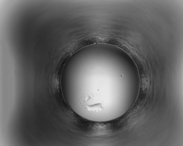 X0000095890613200801181227