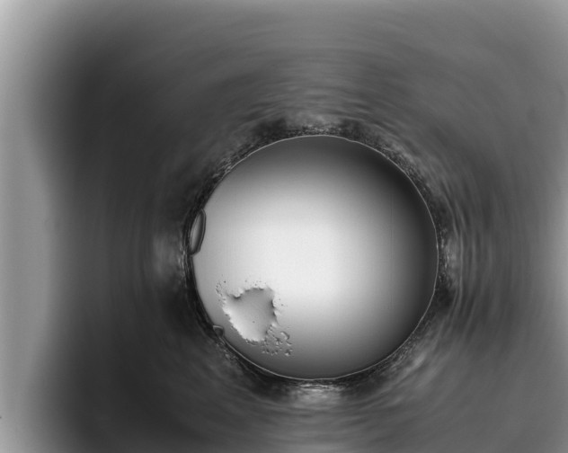 X0000095890617200801181227