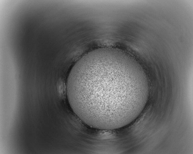 X0000095890624200801181227