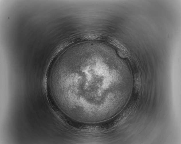X0000095890626200801181226