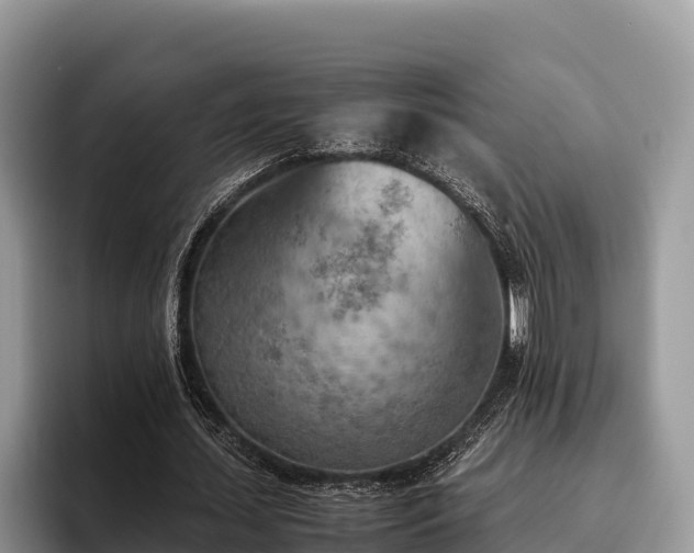 X0000095890627200801181226