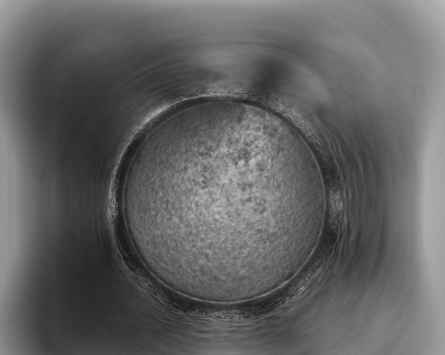 X0000095890628200801181226