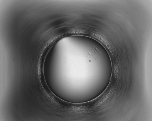 X0000095890629200801181226
