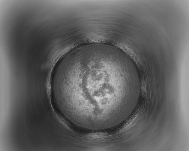 X0000095890630200801181226