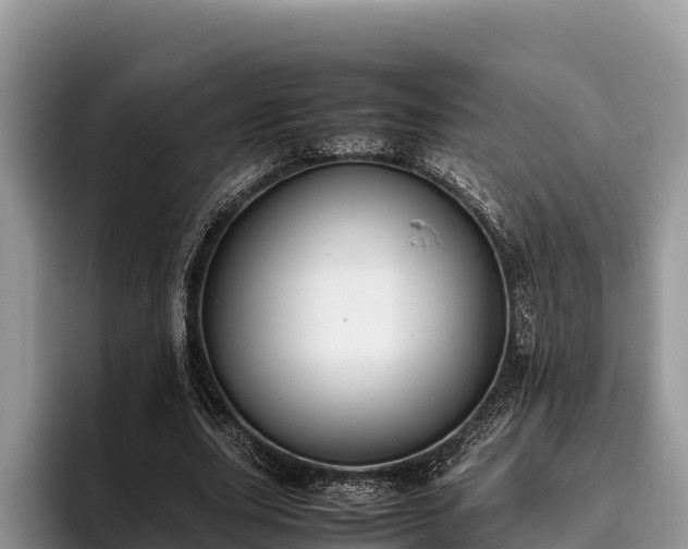 X0000095890631200801181226