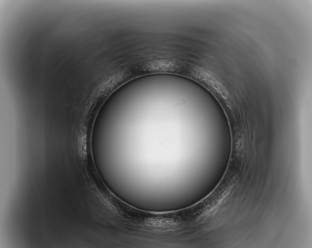 X0000095890633200801181226