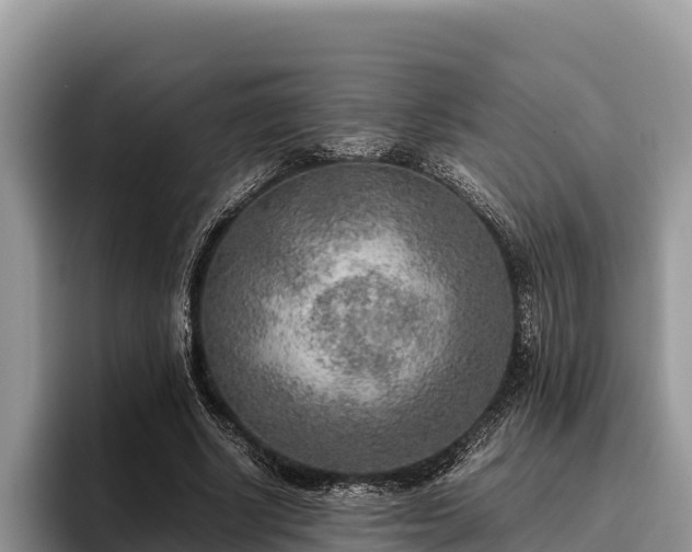 X0000095890634200801181226