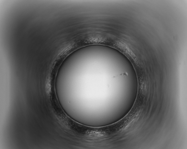 X0000095890635200801181226