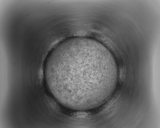 X0000095890636200801181226