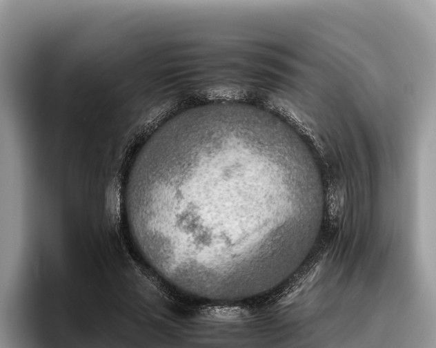X0000095890637200801181226