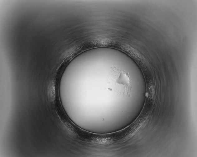 X0000095890638200801181226
