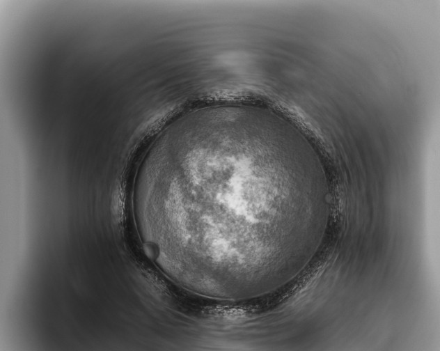 X0000095890640200801181226