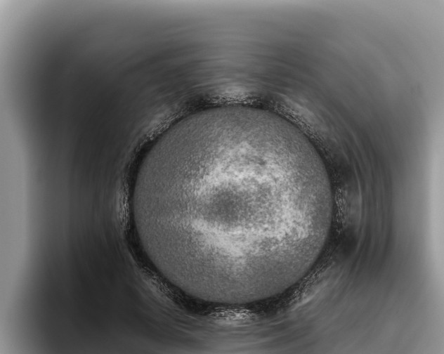 X0000095890642200801181226
