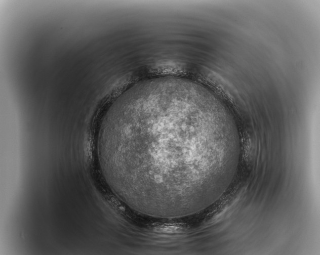 X0000095890643200801181226