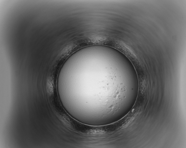X0000095890644200801181226