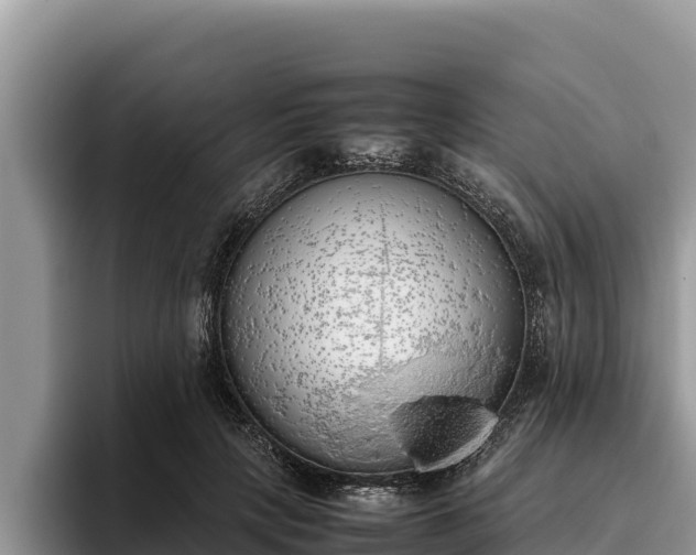 X0000095890649200801181226