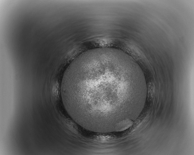 X0000095890650200801181226