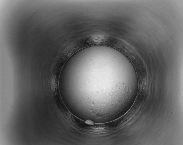 X0000095890651200801181226