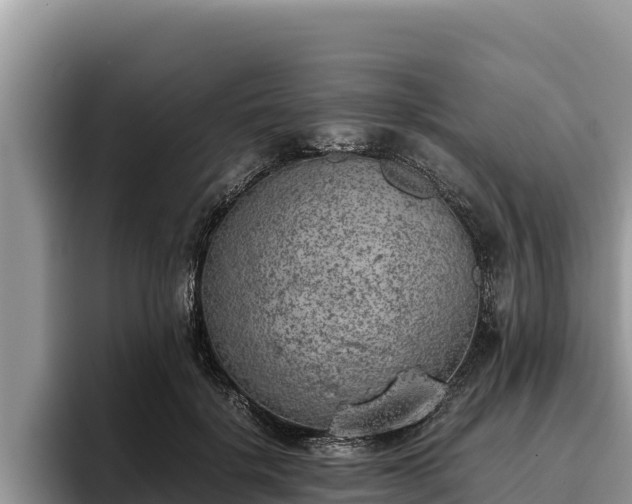 X0000095890652200801181226