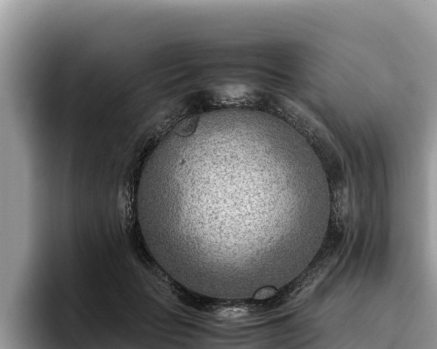 X0000095890653200801181226