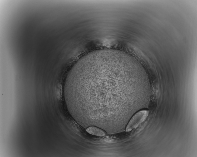 X0000095890656200801181226