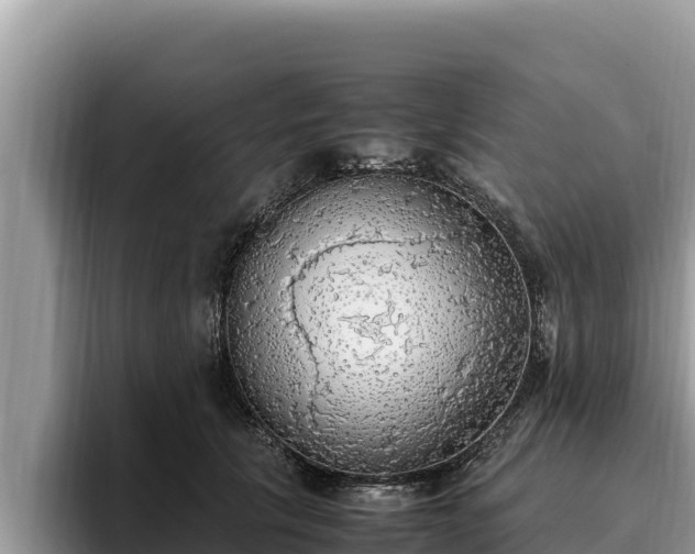 X0000095890657200801181226