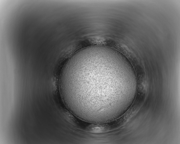 X0000095890658200801181226