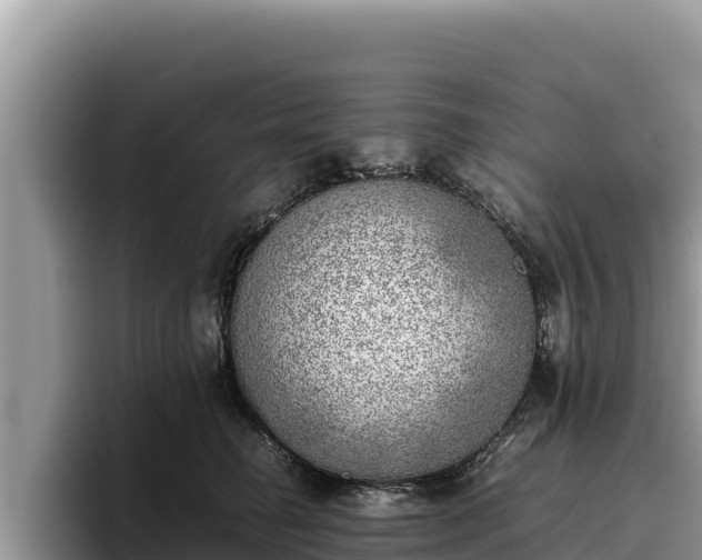X0000095890662200801181227