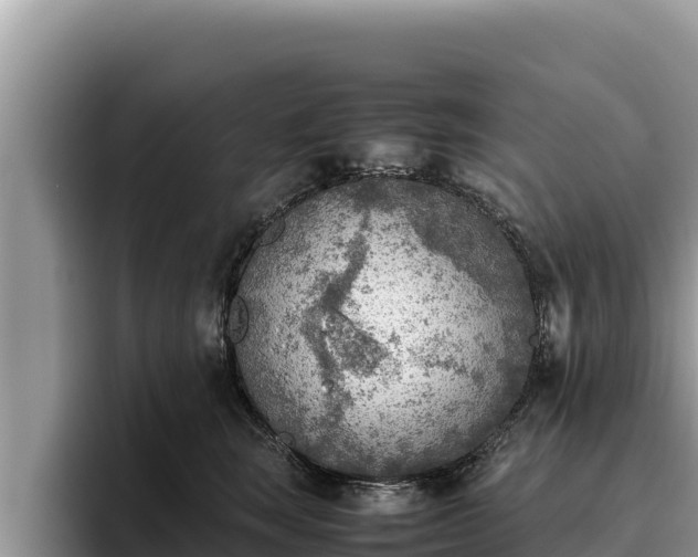 X0000095890663200801181227