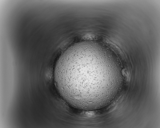 X0000095890665200801181227