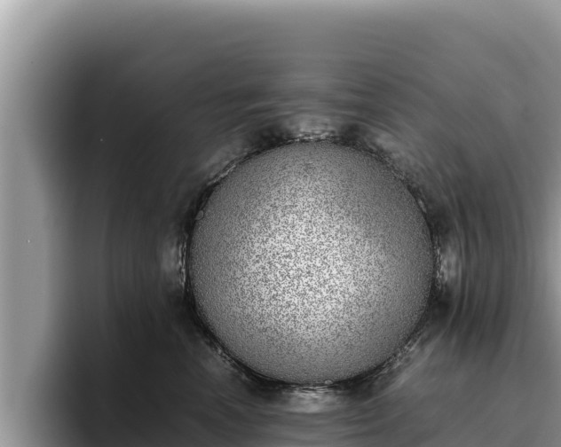 X0000095890666200801181227