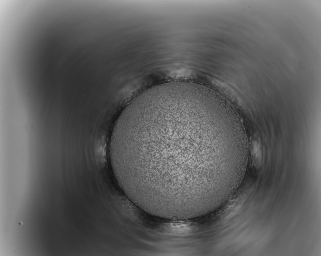 X0000095890668200801181227