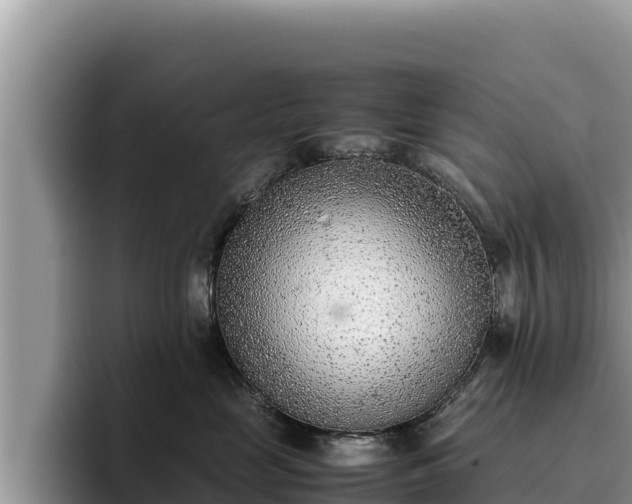 X0000095890669200801181227