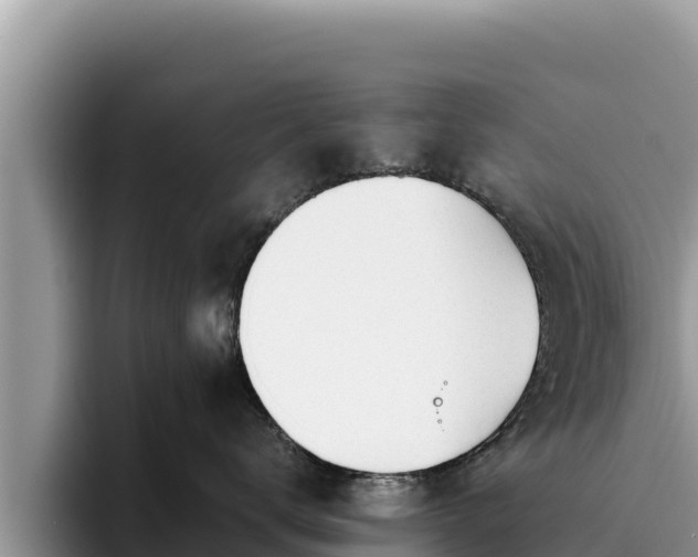 X0000095890672200801181227