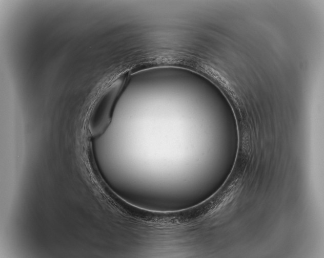 X0000095890673200801181226