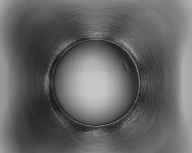 X0000095890674200801181226