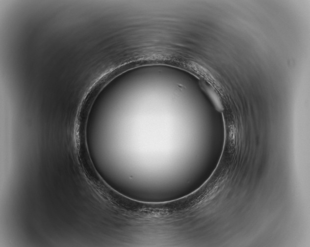 X0000095890676200801181226