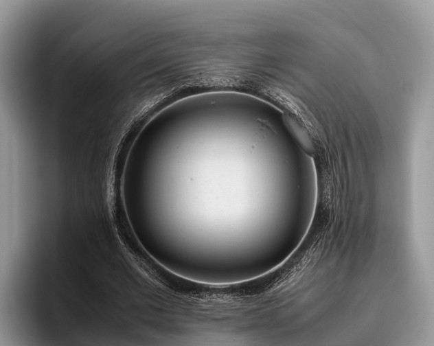 X0000095890677200801181226