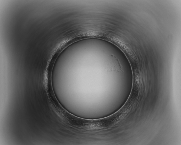 X0000095890678200801181226