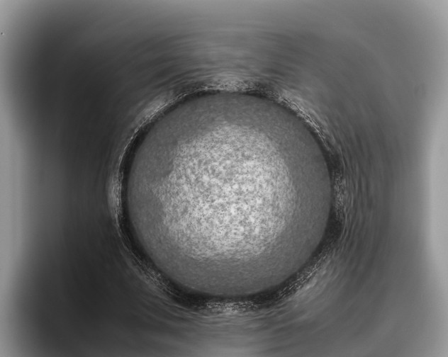 X0000095890679200801181226