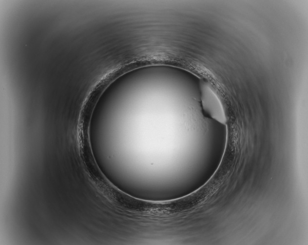 X0000095890680200801181226