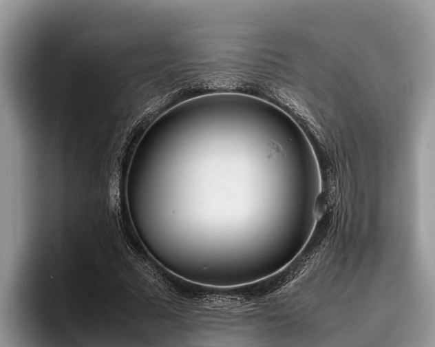 X0000095890681200801181226