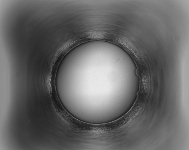 X0000095890682200801181226