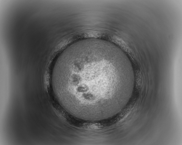 X0000095890683200801181226