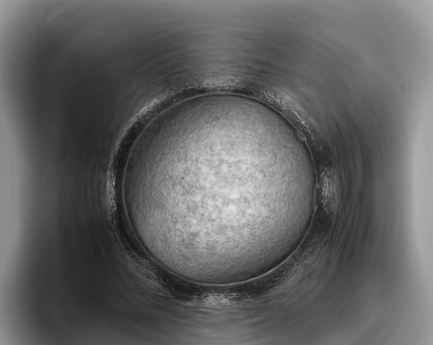 X0000095890684200801181226