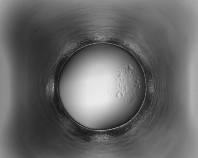 X0000095890685200801181226