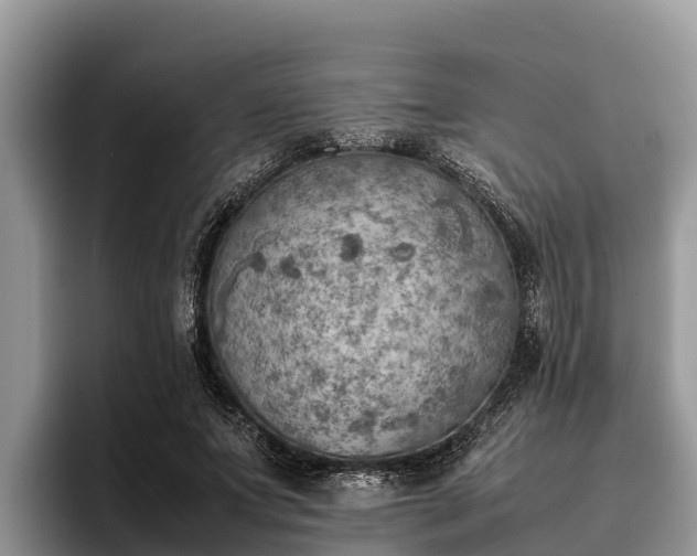 X0000095890687200801181226